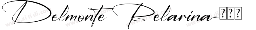 Delmonte Belarina字体转换